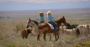 Hold Our Ground: Ranchers on Soil Health