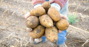 Soil health movement takes root in Colorado