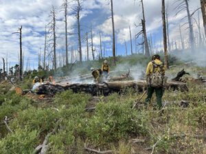 Researchers to study effects of wildfire smoke on male firefighter reproductive health