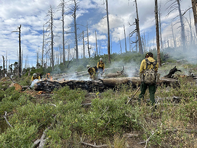 Wildfire crew cleaning up a fire