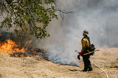 A firefighter fighting a forest fire