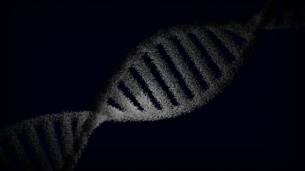 DNA strand